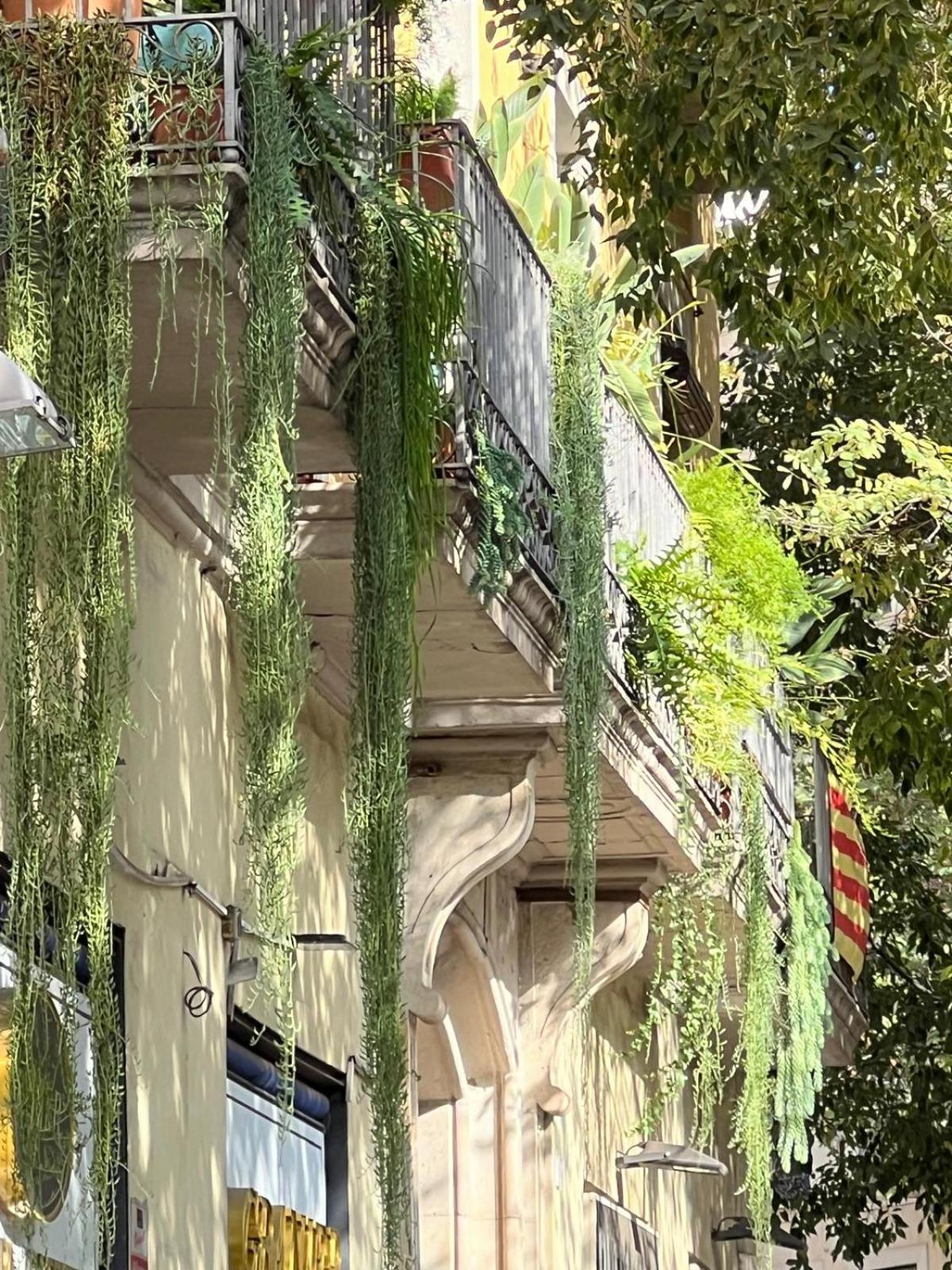Plaza Goya Rooms Barcelona Eksteriør bilde